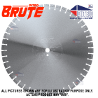 Diteq C-53AXBRH 36"x.187"x1"-DP Brute Blade Image 1