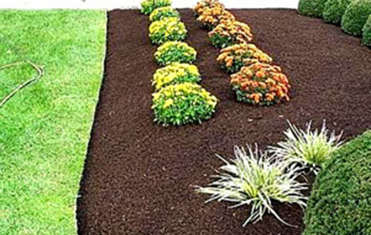 Dark Brown Organic Mulch