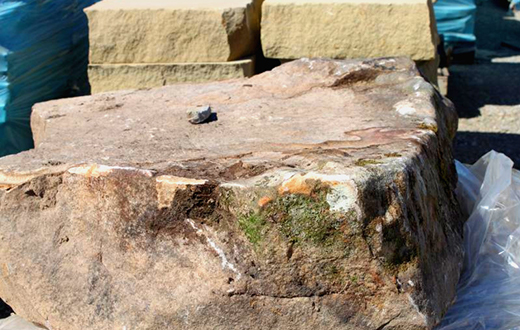 Tennessee Fieldstone Steppers 6