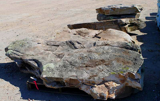 Tennessee Fieldstone Steppers 3