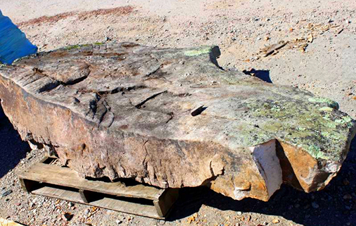 Tennessee Fieldstone Steppers 2