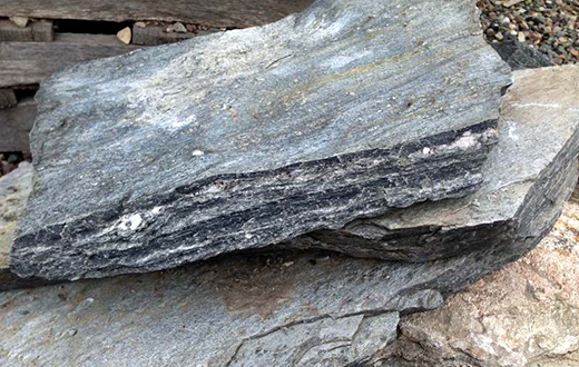 Tennessee Fieldstone Steppers 8