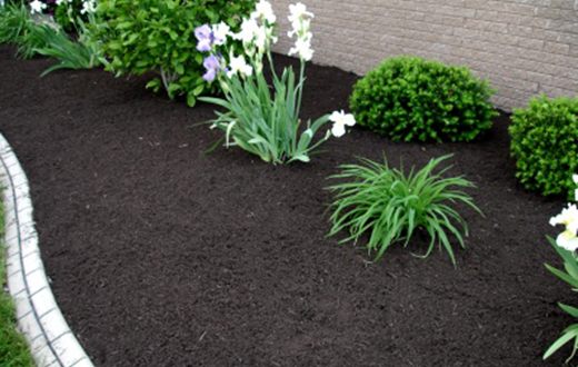 Black Organic Mulch